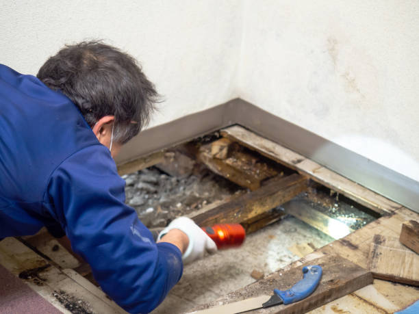 Best Mold Testing  in Colfax, CA