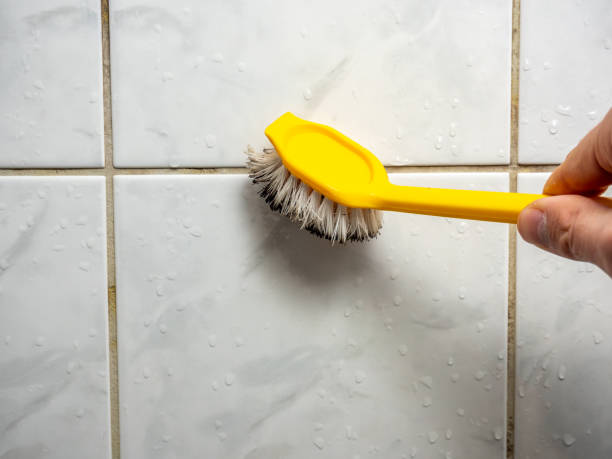 Best Mold Damage Repair  in Colfax, CA