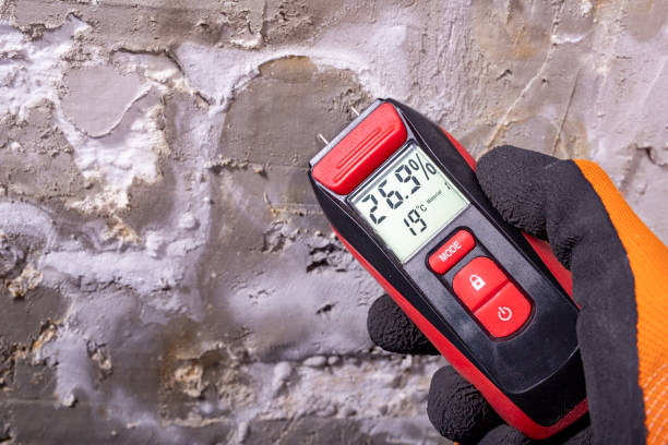 Best Mold Removal Process  in Colfax, CA