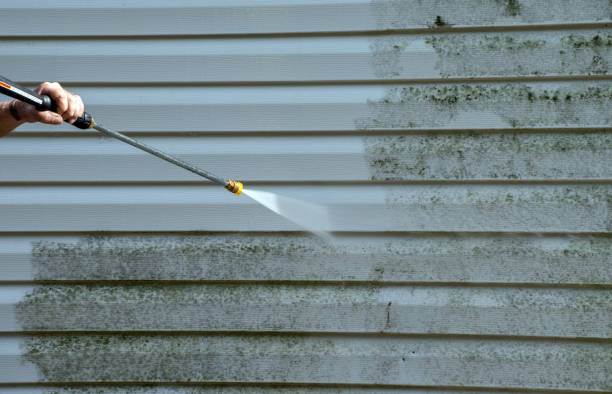 Professional Mold Removal in Colfax, CA