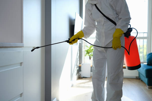 Best Attic Mold Removal  in Colfax, CA
