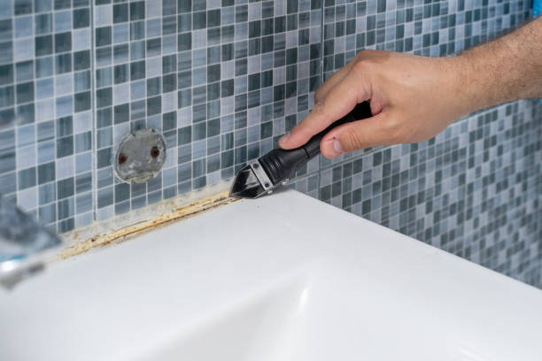 Best Mold Testing  in Colfax, CA