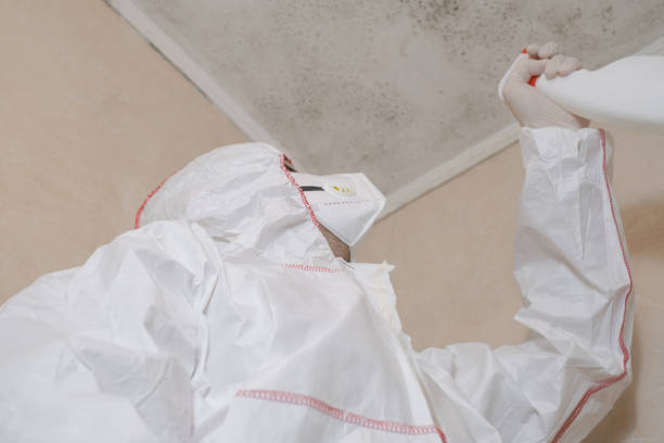 Water Damage Restoration in Colfax, CA