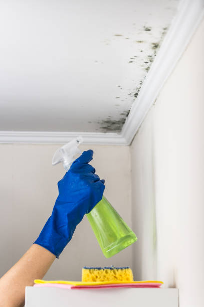 Best Residential Mold Removal  in Colfax, CA